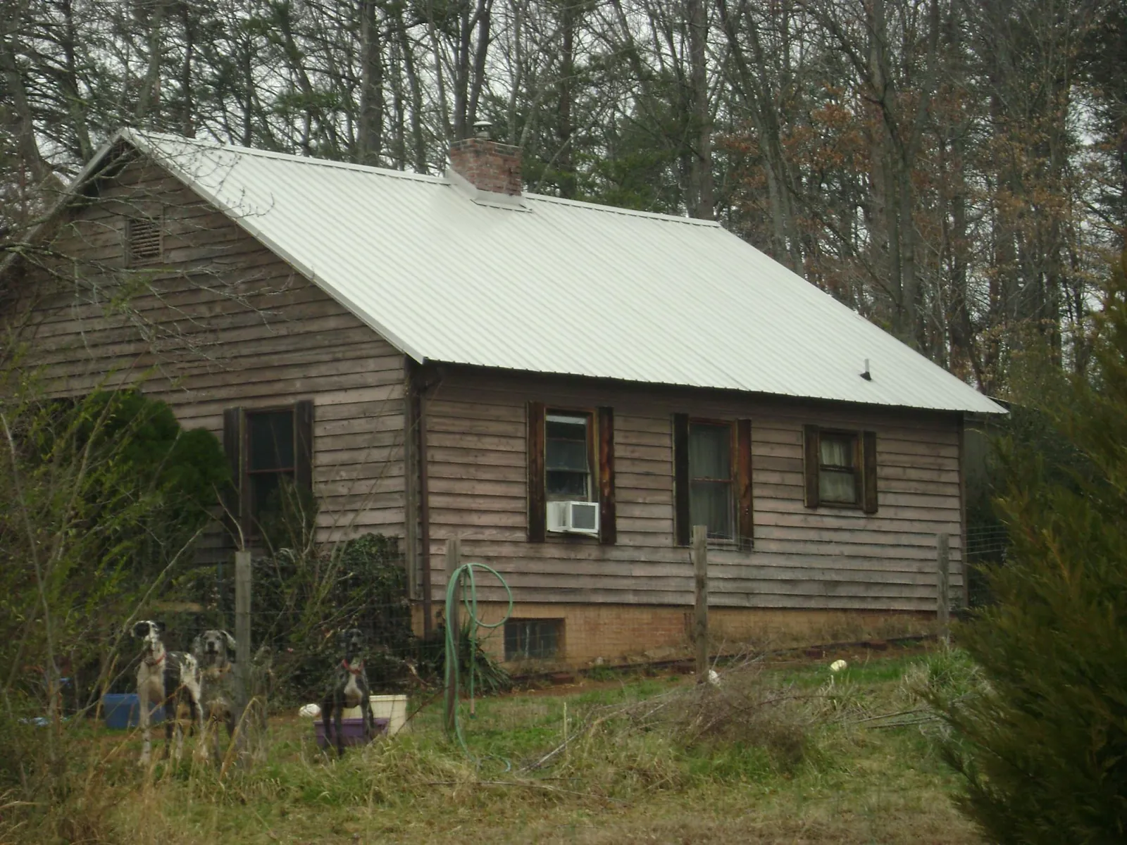 White metal roof on an old wood sided farmhouse, from a Metal Roof Installation job in Phelps